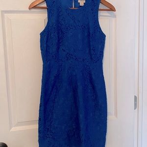 Blue lace shift dress